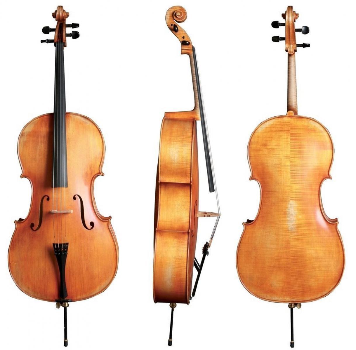 violoncelo