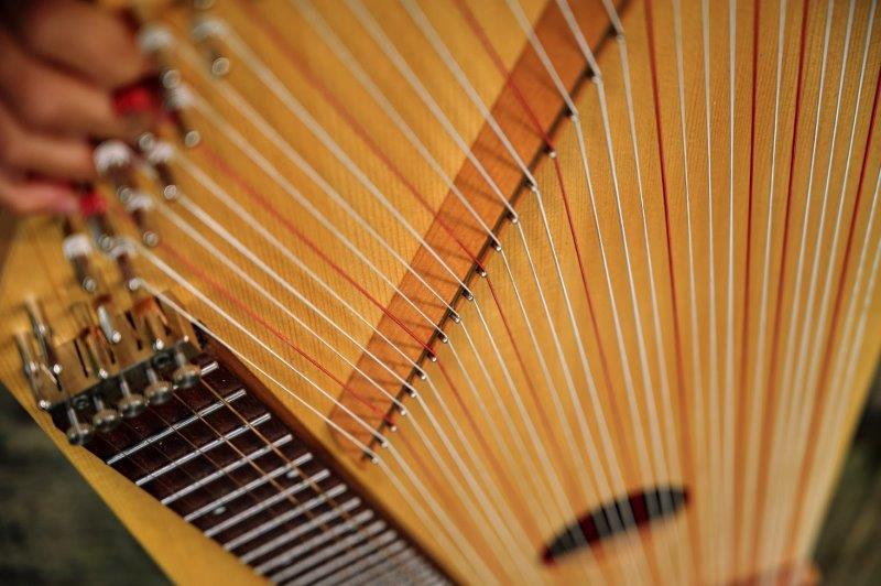 Neža Kangler (citre) bronasta na državnem tekmovanju